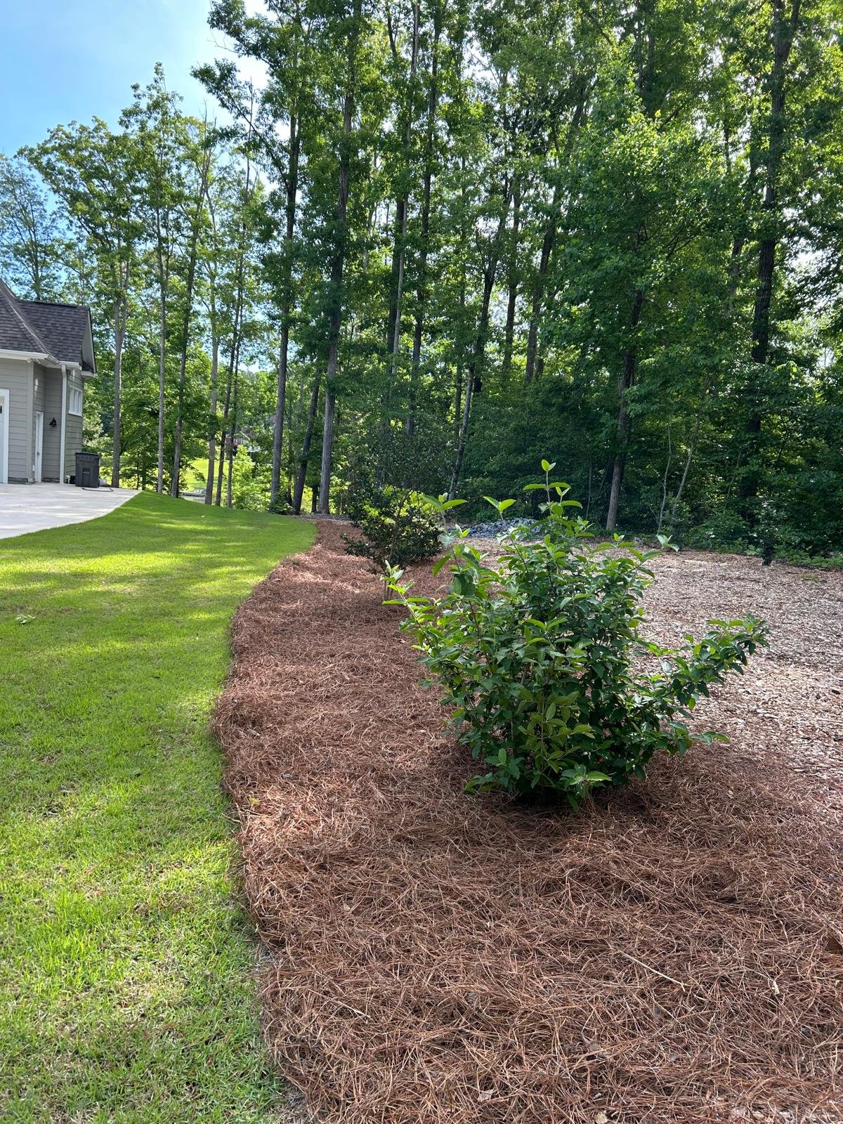 Gutter cleaning and exterior care