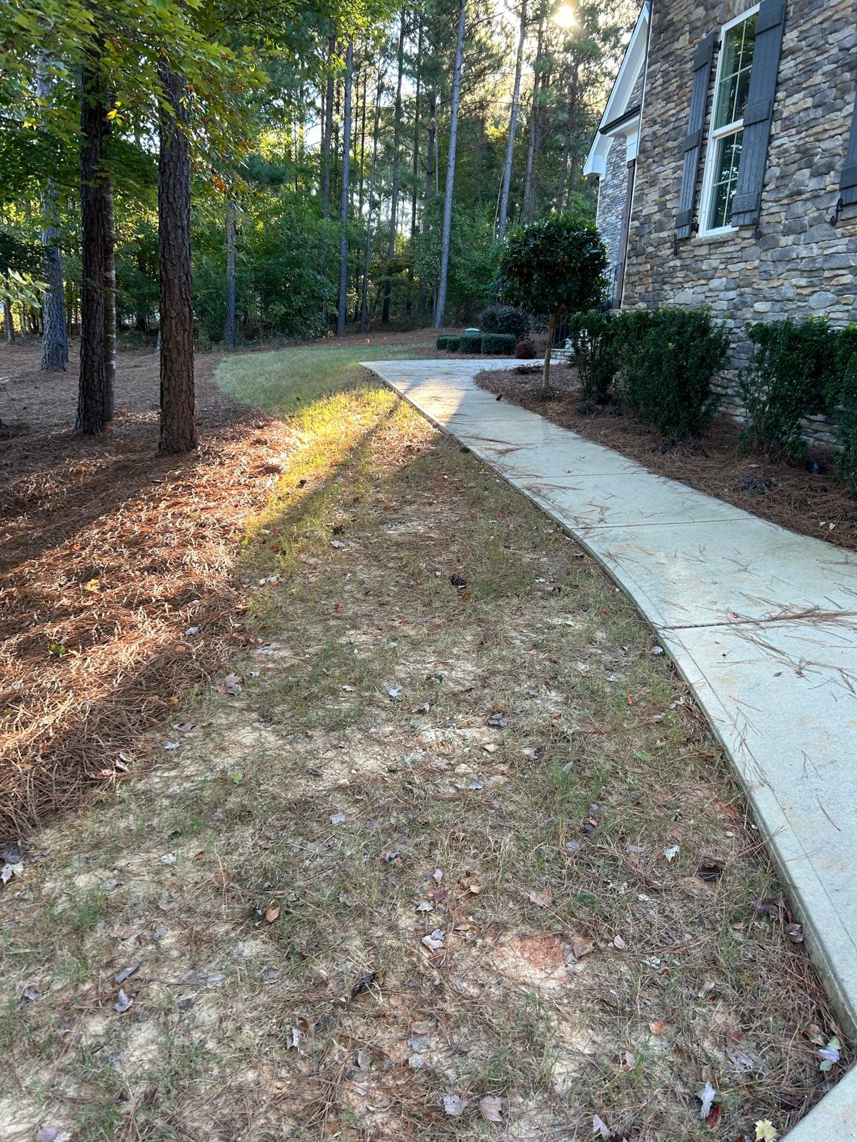 Exterior cleaning service