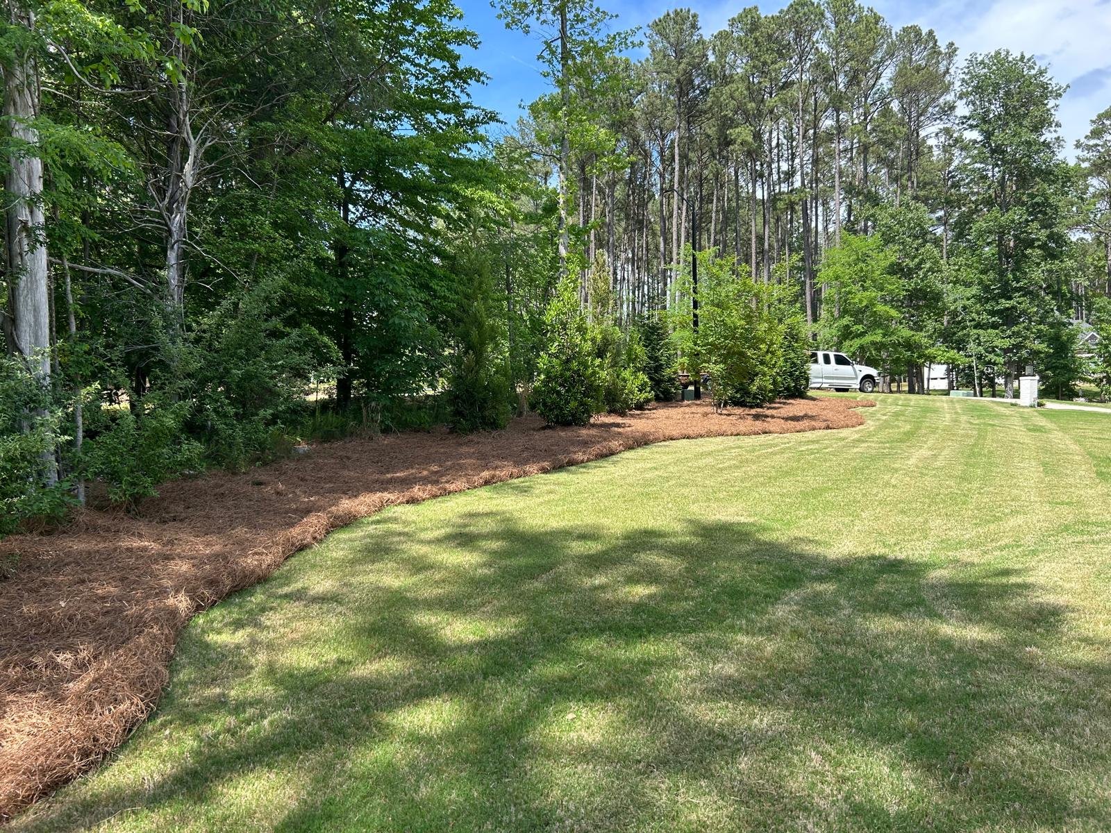 Professional landscaping design