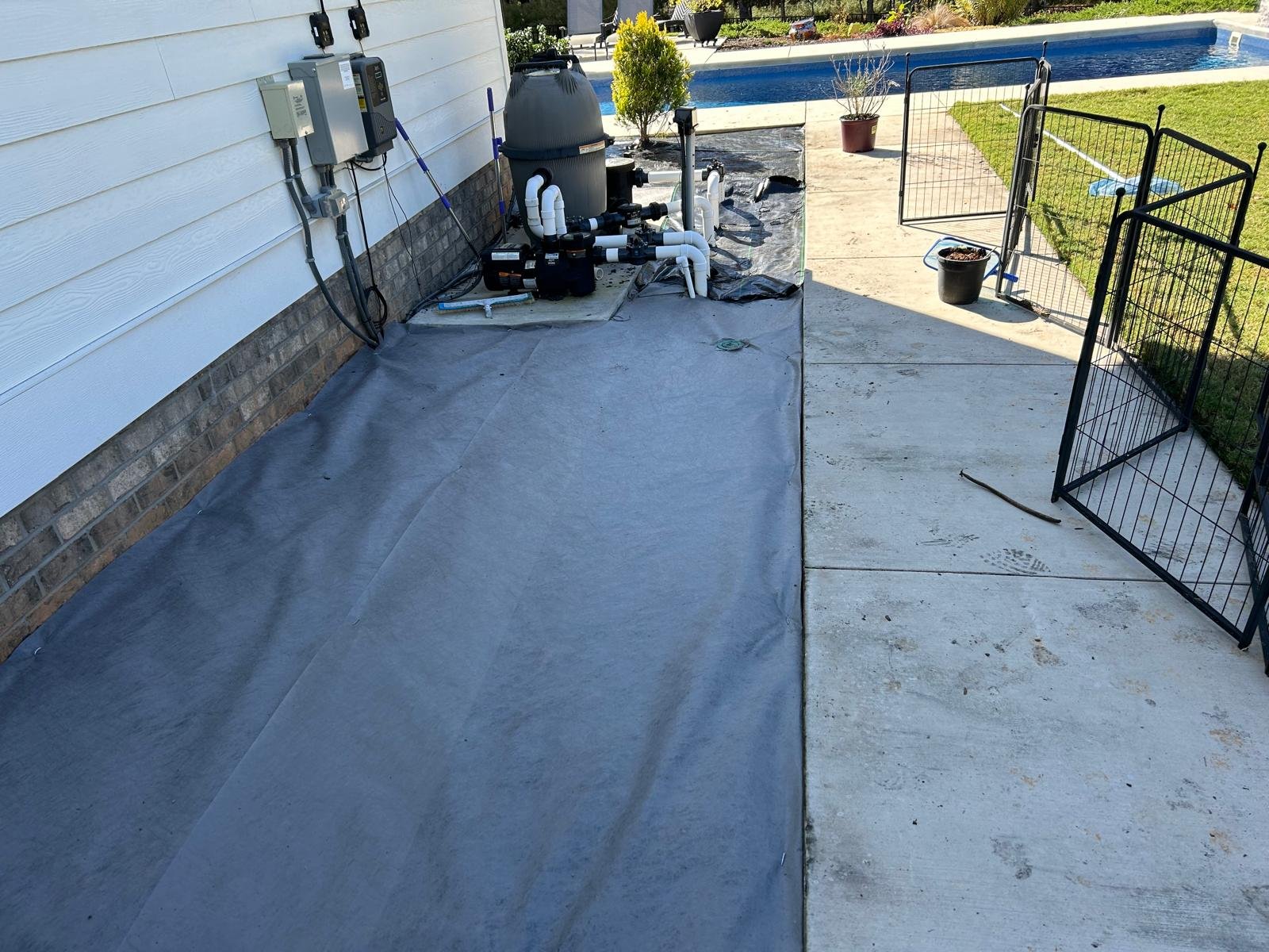 Professional lawn maintenance results
