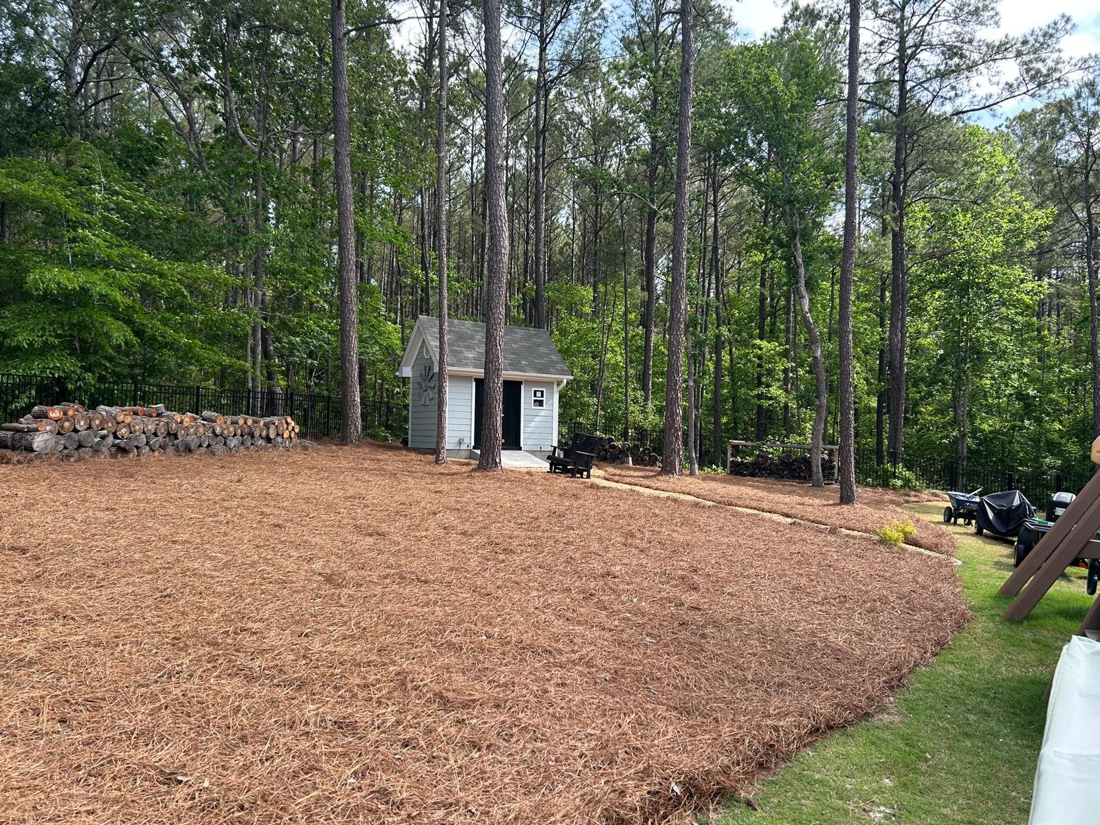 Landscaped property with fresh pine straw