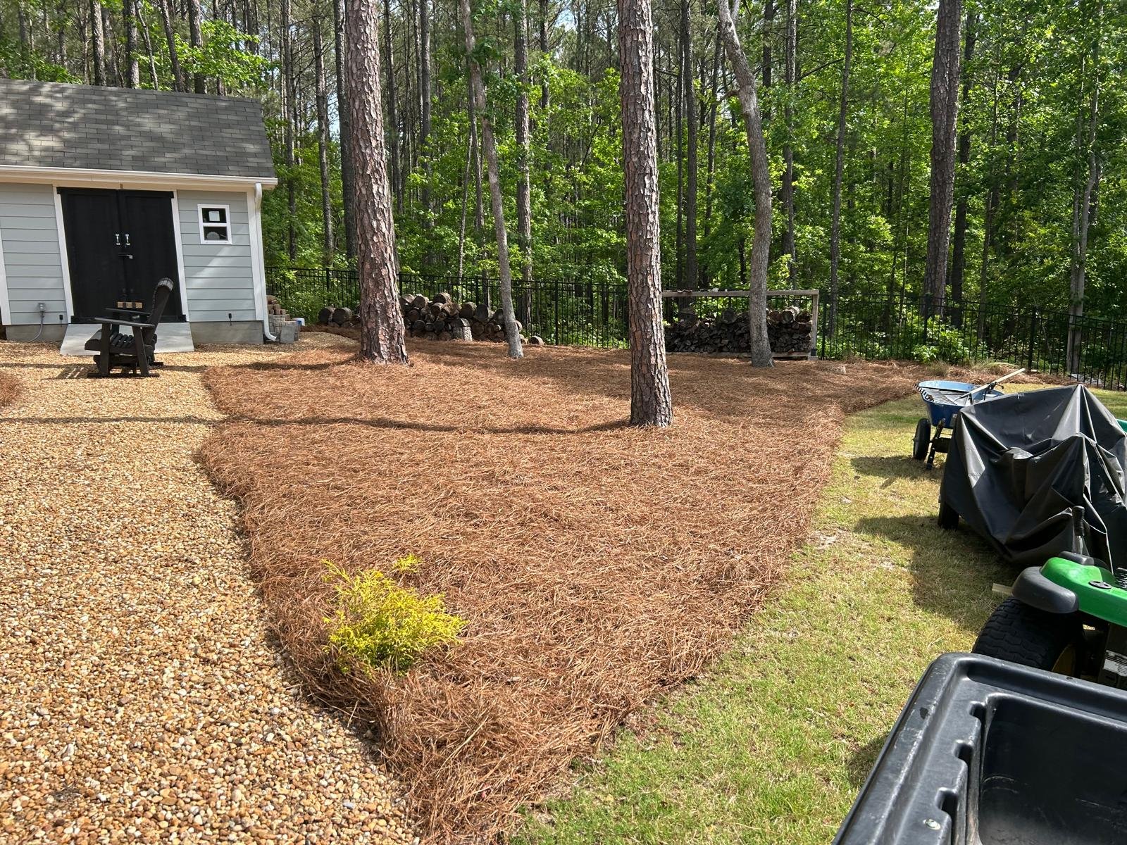 Outdoor area with pine straw coverage