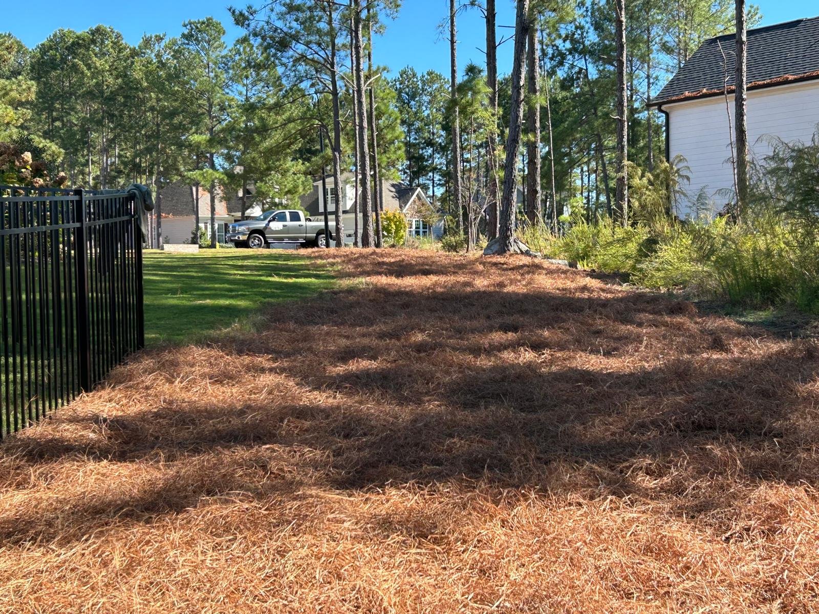 Landscaped property with fresh pine straw