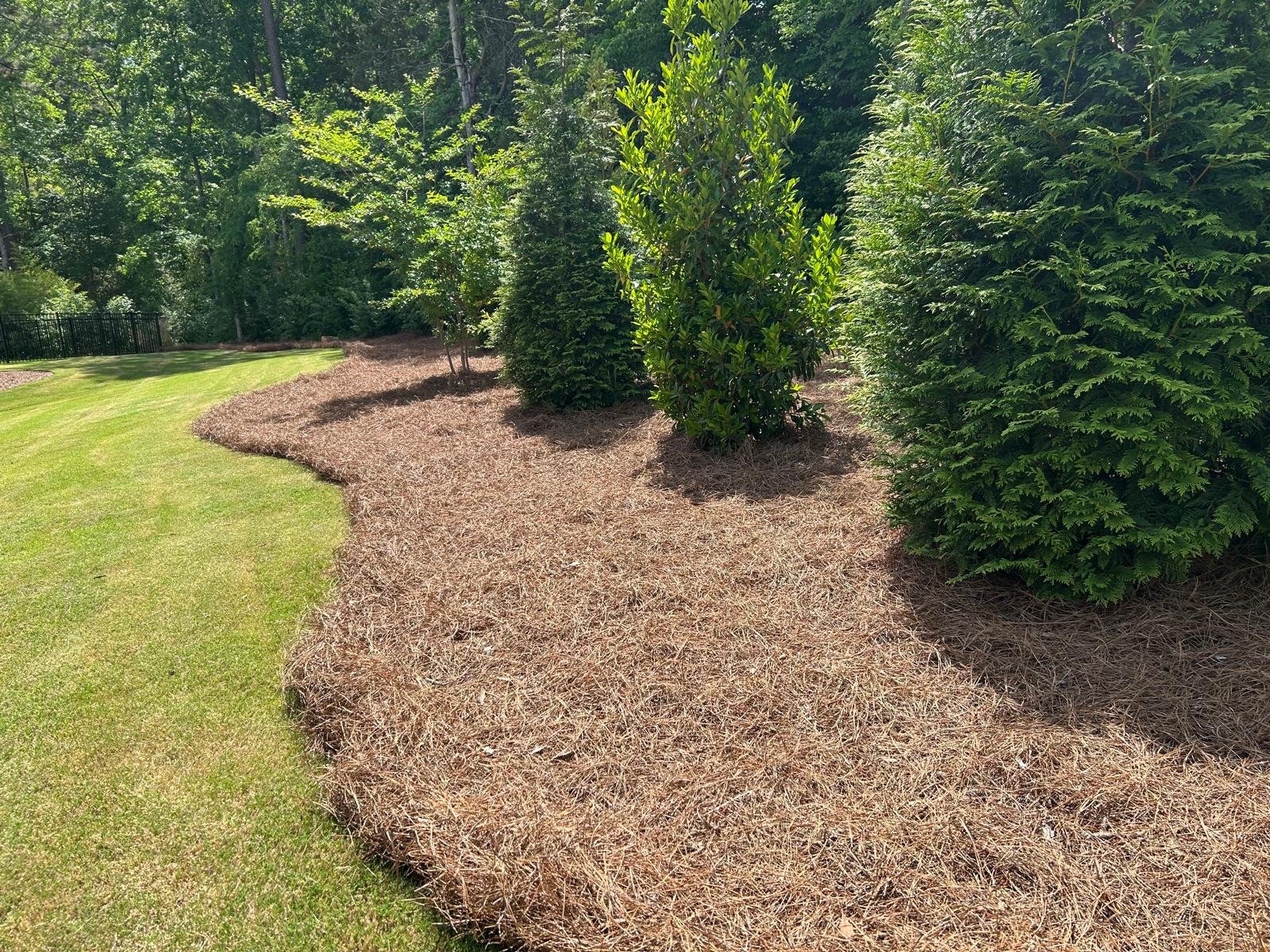 Tree Services