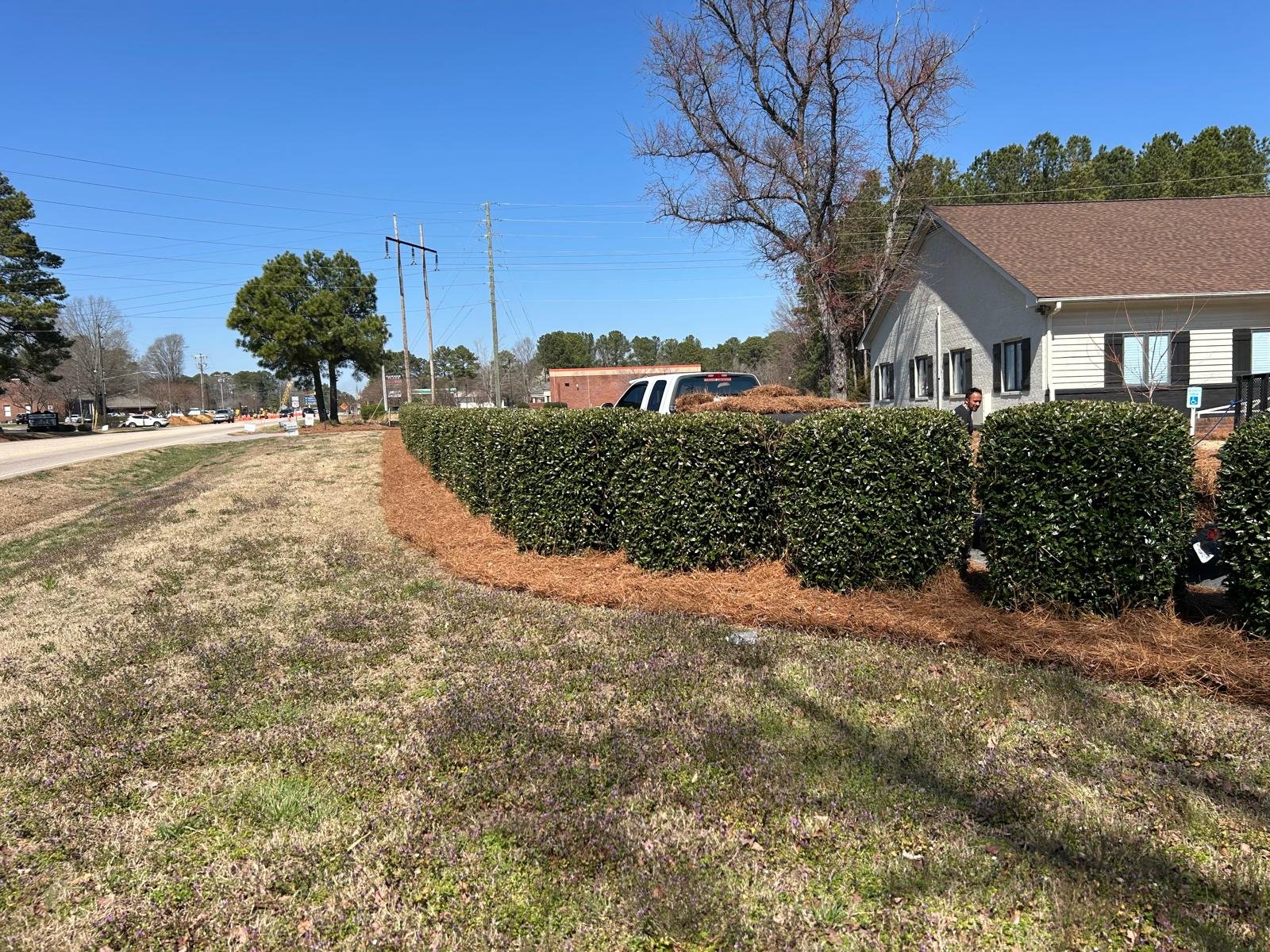 Clean and maintained yard after tree service