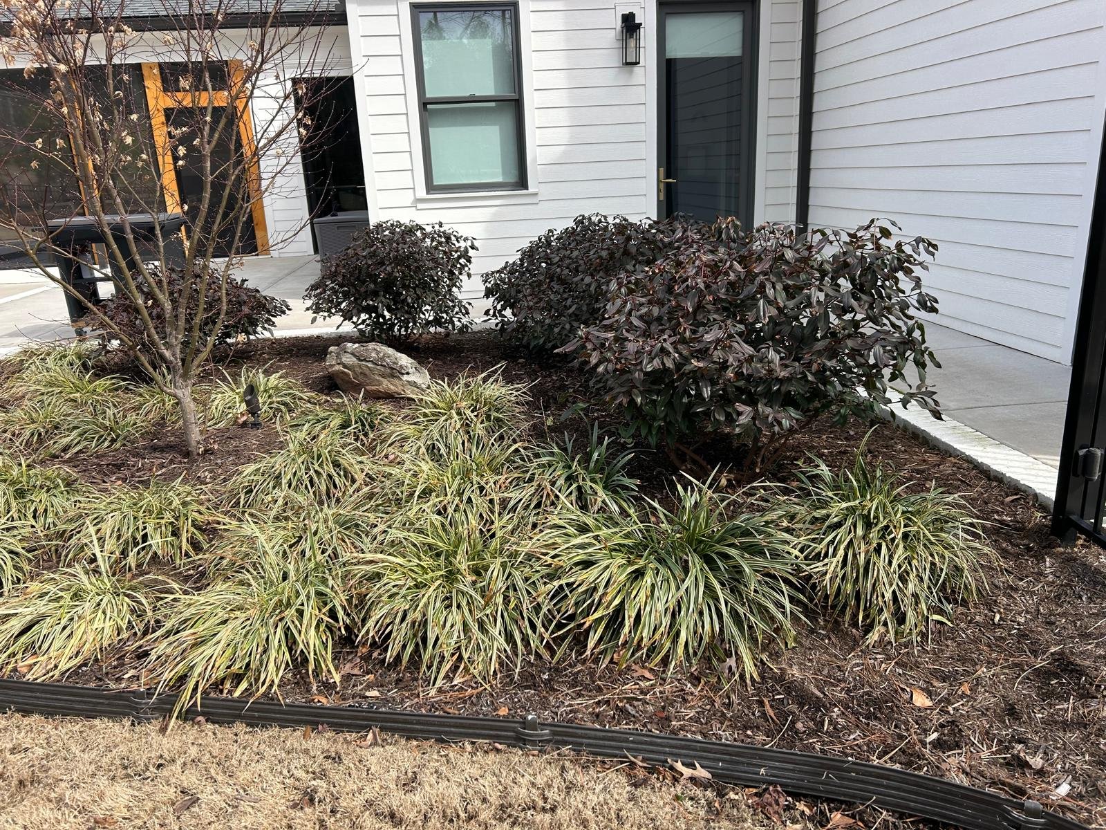 Tree removal project